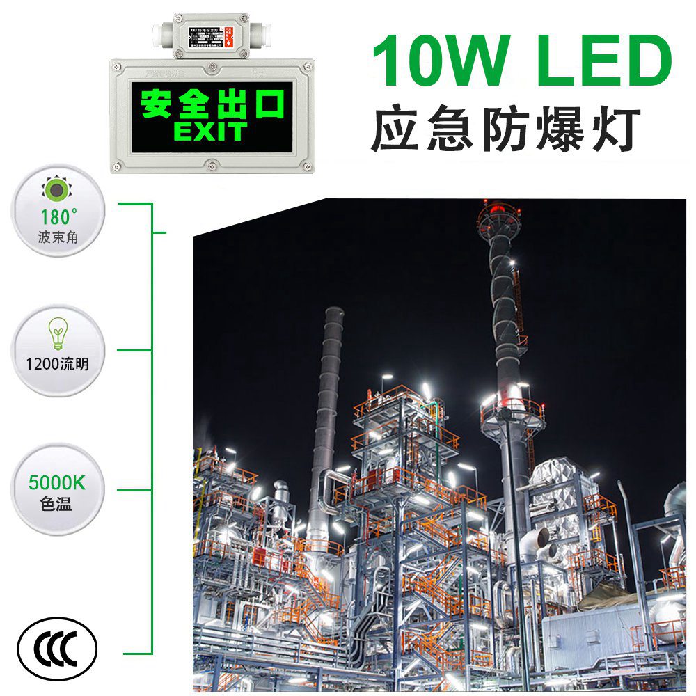 防爆消防应急灯10W防爆LED应急灯IP65输入电压AC220V