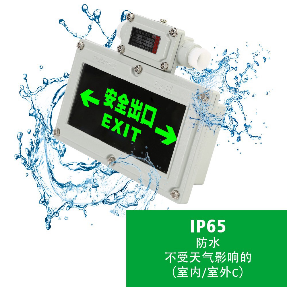 防爆消防应急灯10W防爆LED应急灯IP65输入电压AC220V
